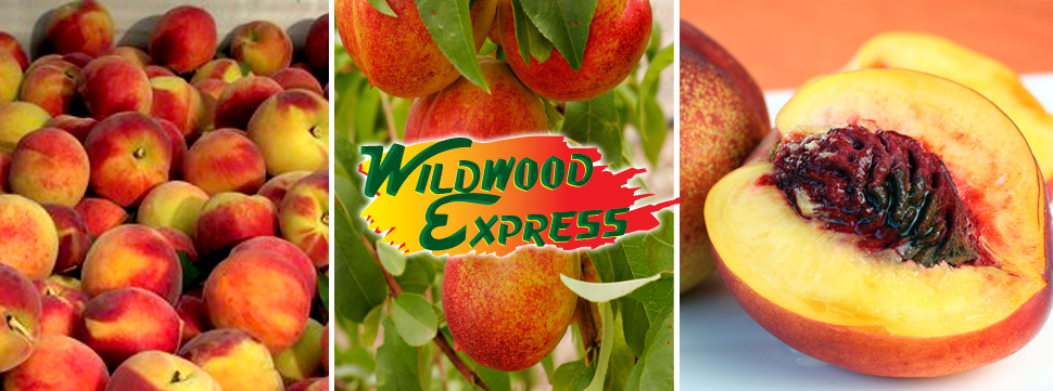 Wild Wood Express